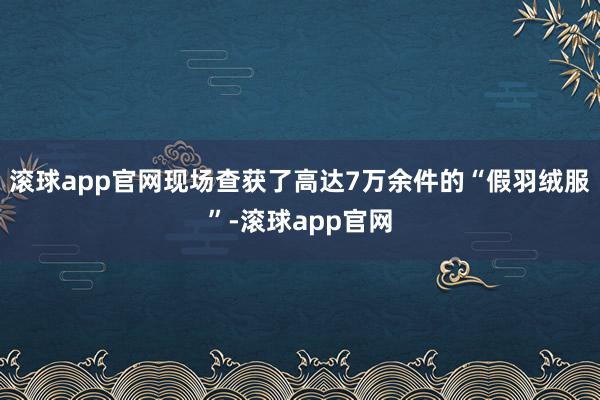 滚球app官网现场查获了高达7万余件的“假羽绒服”-滚球app官网