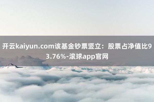 开云kaiyun.com该基金钞票竖立：股票占净值比93.76%-滚球app官网