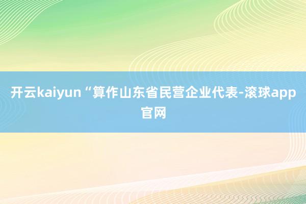 开云kaiyun“算作山东省民营企业代表-滚球app官网