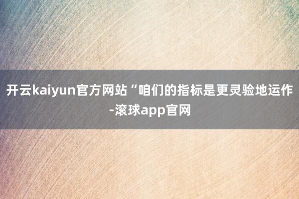 开云kaiyun官方网站“咱们的指标是更灵验地运作-滚球app官网