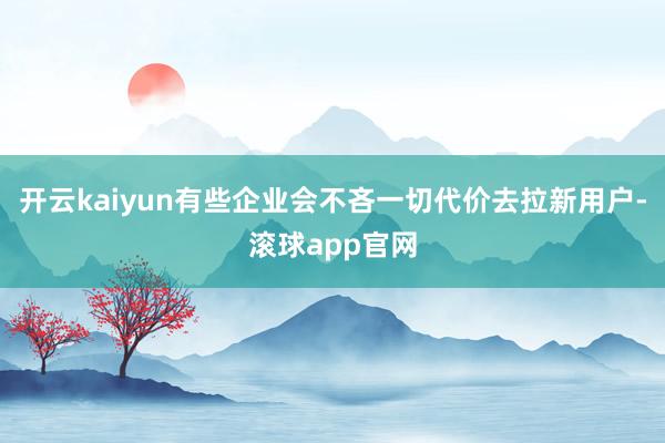 开云kaiyun有些企业会不吝一切代价去拉新用户-滚球app官网