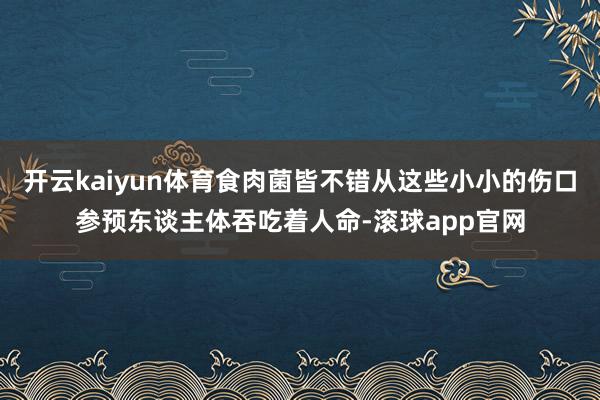开云kaiyun体育食肉菌皆不错从这些小小的伤口参预东谈主体吞吃着人命-滚球app官网