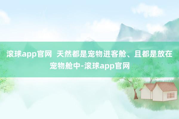 滚球app官网  　　天然都是宠物进客舱、且都是放在宠物舱中-滚球app官网