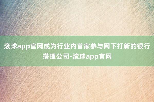 滚球app官网成为行业内首家参与网下打新的银行搭理公司-滚球app官网