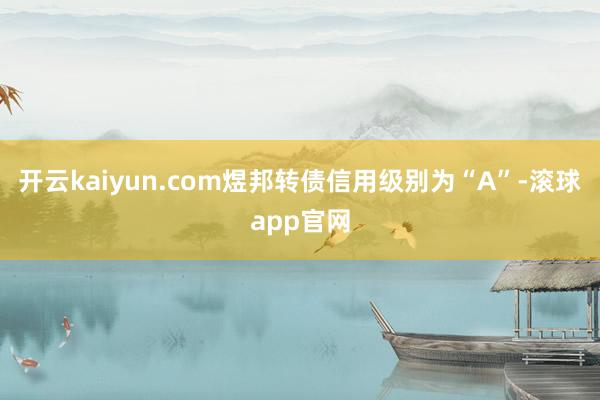开云kaiyun.com煜邦转债信用级别为“A”-滚球app官网