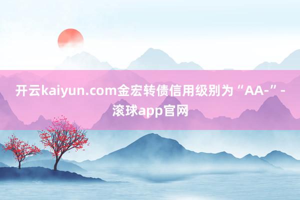 开云kaiyun.com金宏转债信用级别为“AA-”-滚球app官网