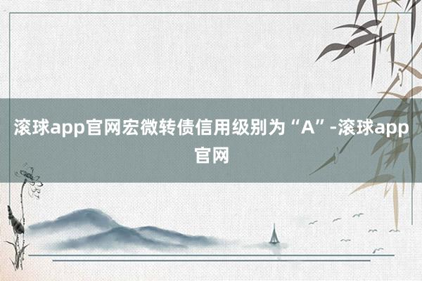滚球app官网宏微转债信用级别为“A”-滚球app官网