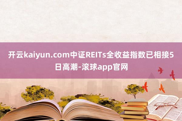 开云kaiyun.com中证REITs全收益指数已相接5日高潮-滚球app官网