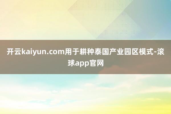 开云kaiyun.com用于耕种泰国产业园区模式-滚球app官网