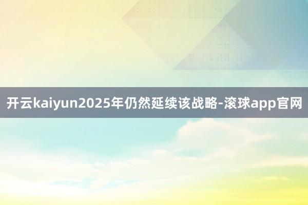 开云kaiyun2025年仍然延续该战略-滚球app官网