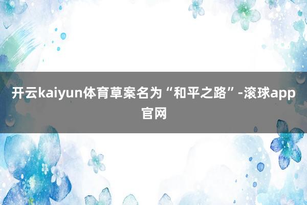 开云kaiyun体育草案名为“和平之路”-滚球app官网