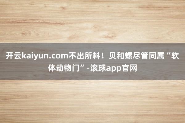 开云kaiyun.com不出所料！贝和螺尽管同属“软体动物门”-滚球app官网