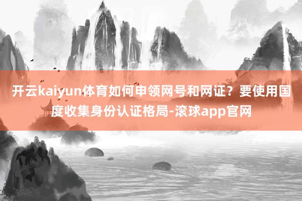 开云kaiyun体育如何申领网号和网证？要使用国度收集身份认证格局-滚球app官网