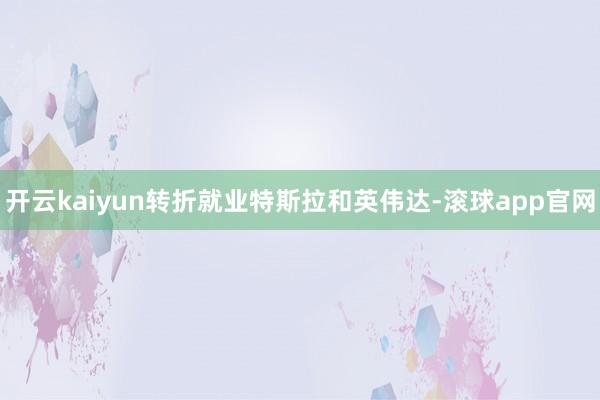 开云kaiyun转折就业特斯拉和英伟达-滚球app官网