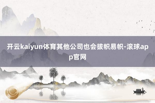 开云kaiyun体育其他公司也会拔帜易帜-滚球app官网