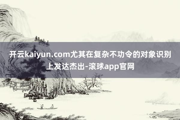 开云kaiyun.com尤其在复杂不功令的对象识别上发达杰出-滚球app官网