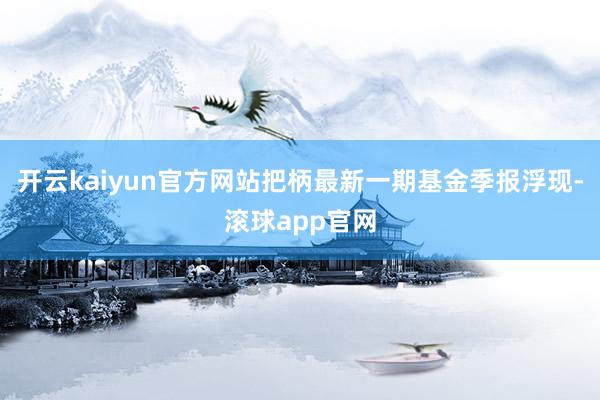 开云kaiyun官方网站把柄最新一期基金季报浮现-滚球app官网