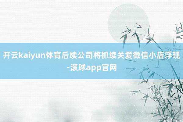 开云kaiyun体育后续公司将抓续关爱微信小店浮现-滚球app官网