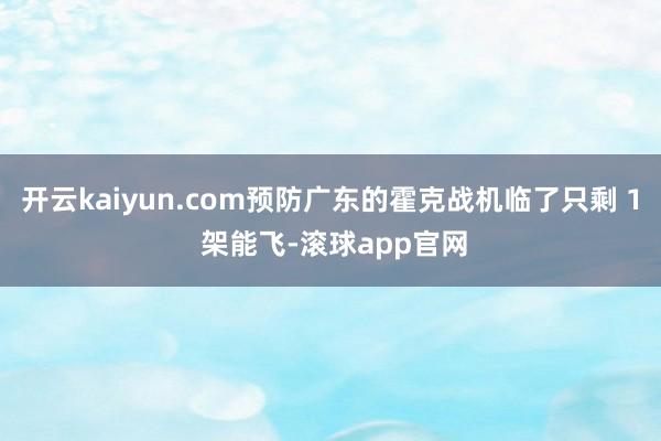 开云kaiyun.com预防广东的霍克战机临了只剩 1 架能飞-滚球app官网