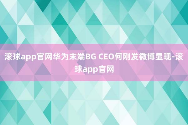 滚球app官网华为末端BG CEO何刚发微博显现-滚球app官网