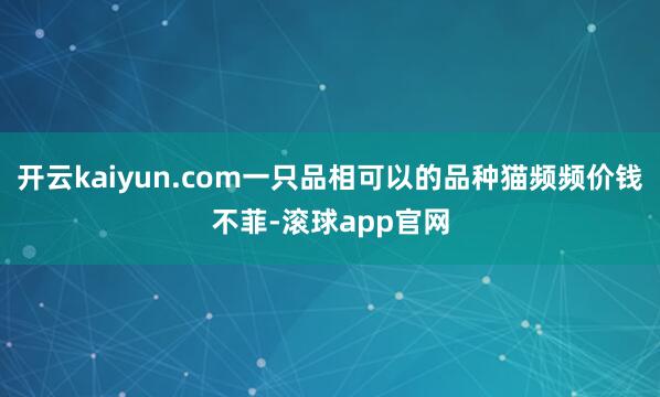 开云kaiyun.com一只品相可以的品种猫频频价钱不菲-滚球app官网