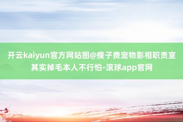 开云kaiyun官方网站图@瘦子费宠物影相职责室其实掉毛本人不行怕-滚球app官网