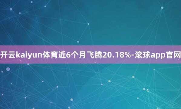 开云kaiyun体育近6个月飞腾20.18%-滚球app官网