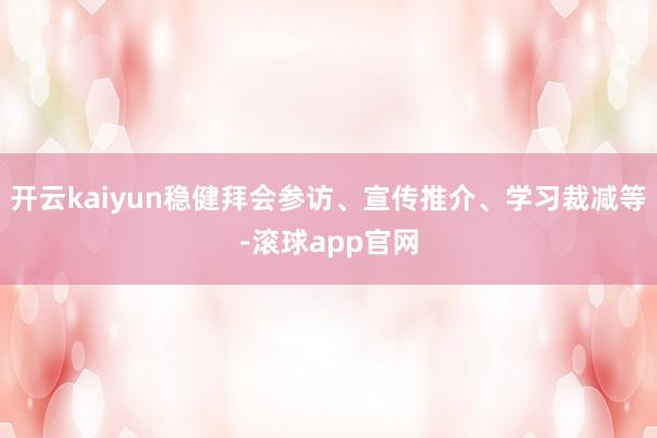 开云kaiyun稳健拜会参访、宣传推介、学习裁减等-滚球app官网