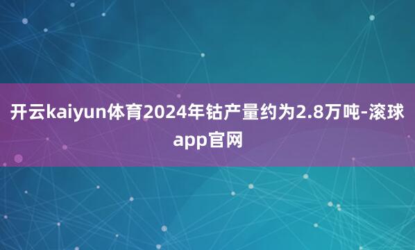 开云kaiyun体育2024年钴产量约为2.8万吨-滚球app官网