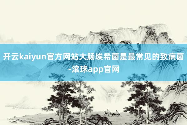 开云kaiyun官方网站大肠埃希菌是最常见的致病菌-滚球app官网