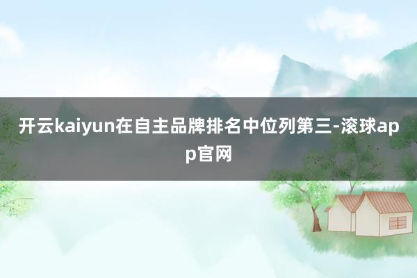 开云kaiyun在自主品牌排名中位列第三-滚球app官网