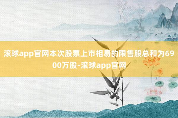 滚球app官网本次股票上市相易的限售股总和为6900万股-滚球app官网
