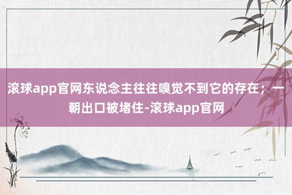 滚球app官网东说念主往往嗅觉不到它的存在；一朝出口被堵住-滚球app官网