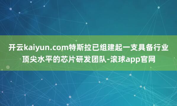 开云kaiyun.com特斯拉已组建起一支具备行业顶尖水平的芯片研发团队-滚球app官网