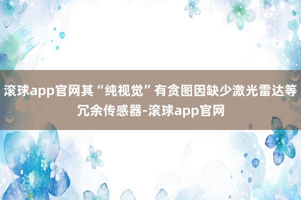 滚球app官网其“纯视觉”有贪图因缺少激光雷达等冗余传感器-滚球app官网