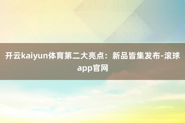 开云kaiyun体育第二大亮点：新品皆集发布-滚球app官网